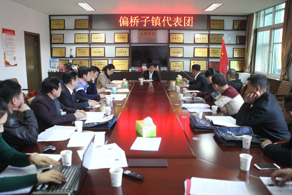 03赵振清参加偏桥子镇代表团讨论.jpg
